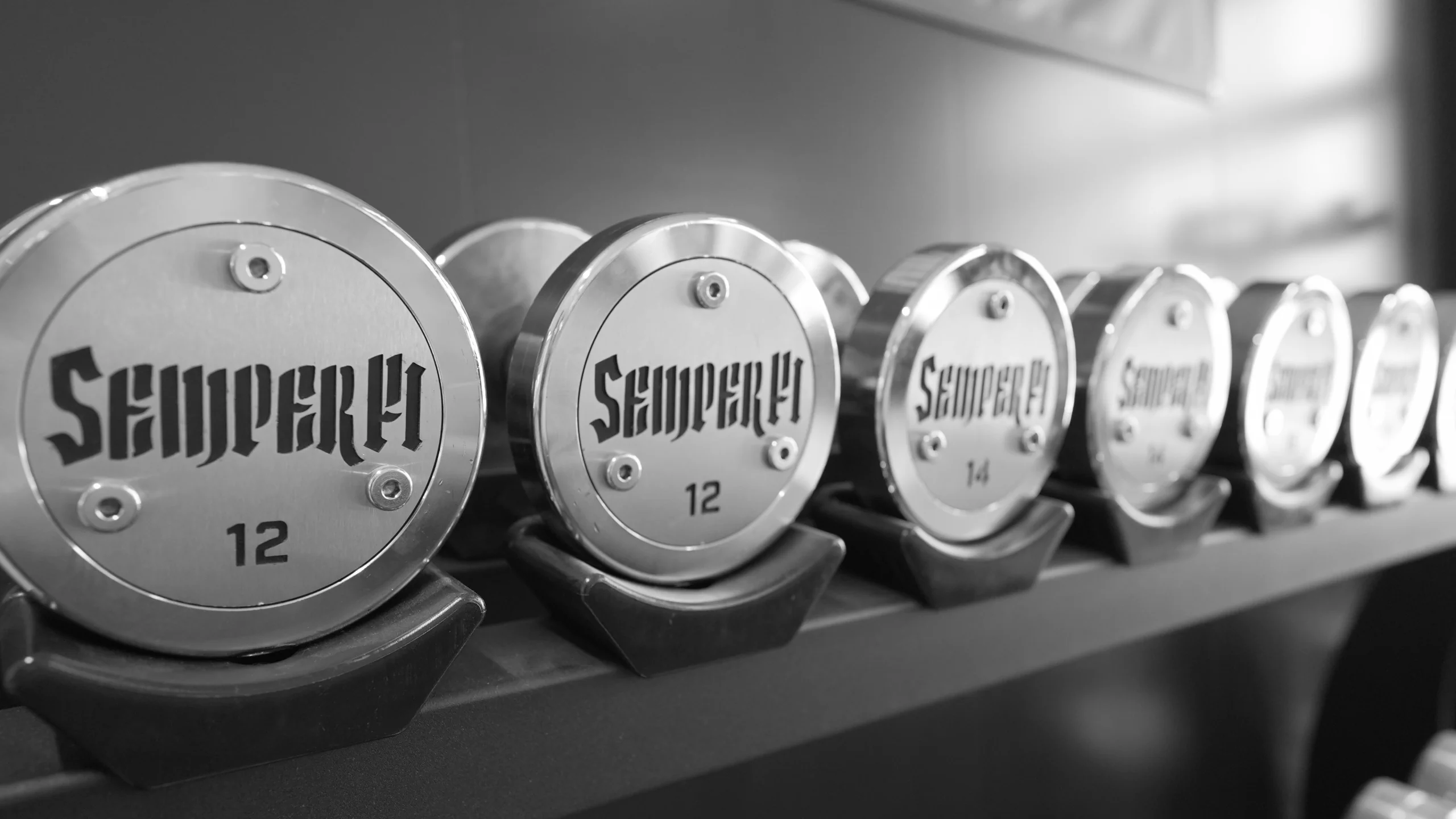 kurzhanteln-private-gym-semper-fi-body-concept-personal-trainer-baden Kurzhanteln mit der der Aufschrift "semper fi".